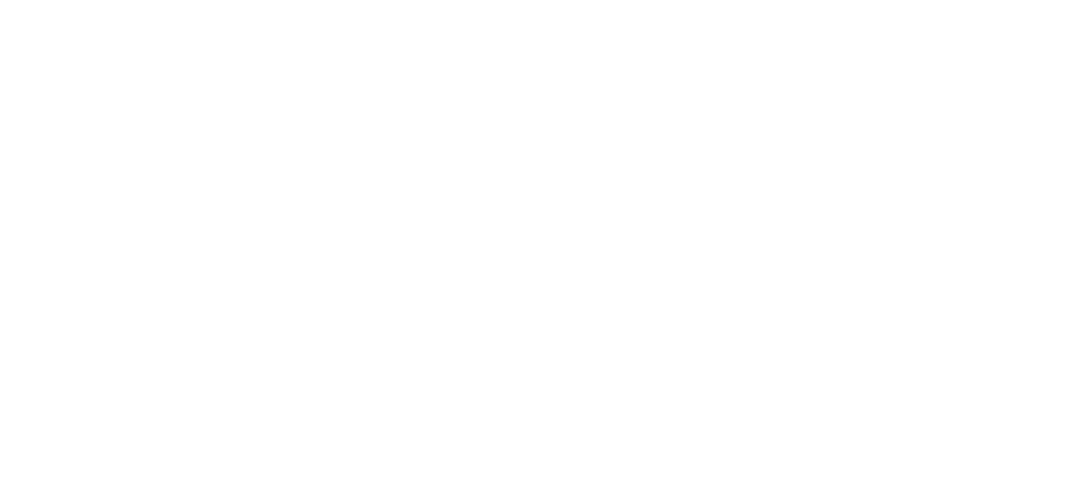 Grupo Fleury - Level Academy