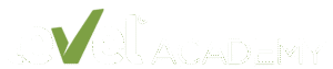 Logo Level Academy
