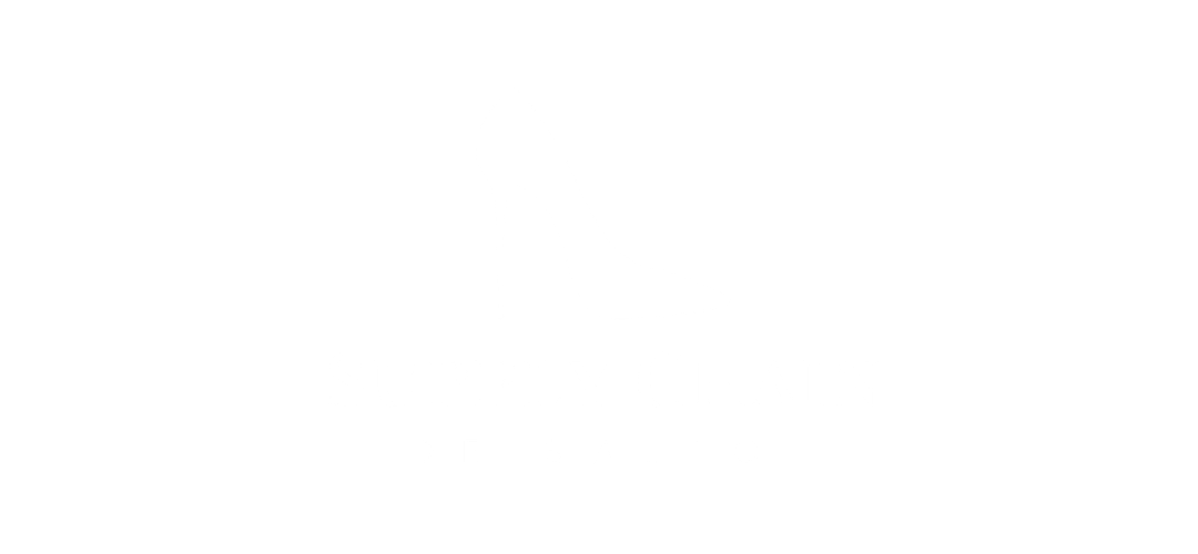 Supply chain de salto - Level Academy