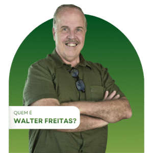 Curso - Gestão Eficiente de Contratos em Compras - Walter Freitas